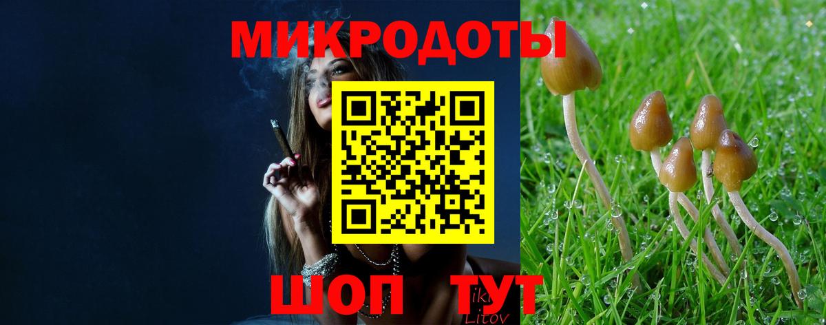 закладки  Галлюциногенные грибы ЛСД  Вход с VPN  Псилоцибиновые грибы прущие грибы  Октябрьский 