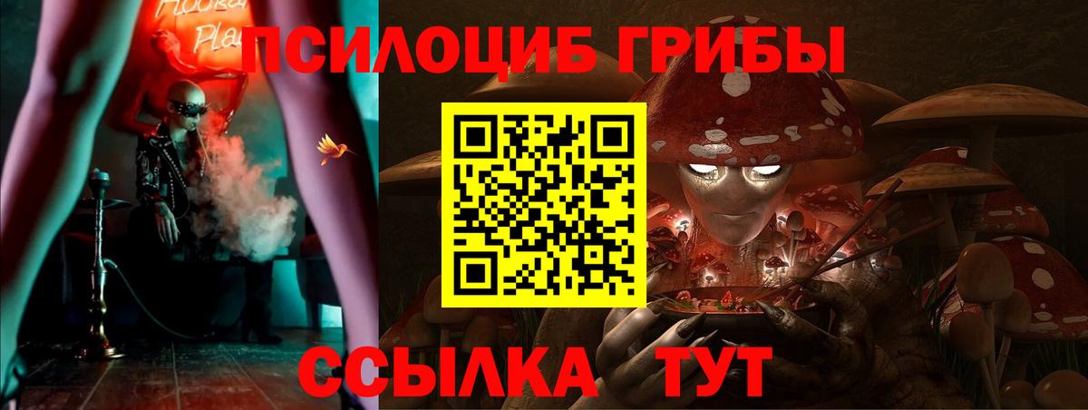 Псилоцибиновые грибы Psilocybe Октябрьский